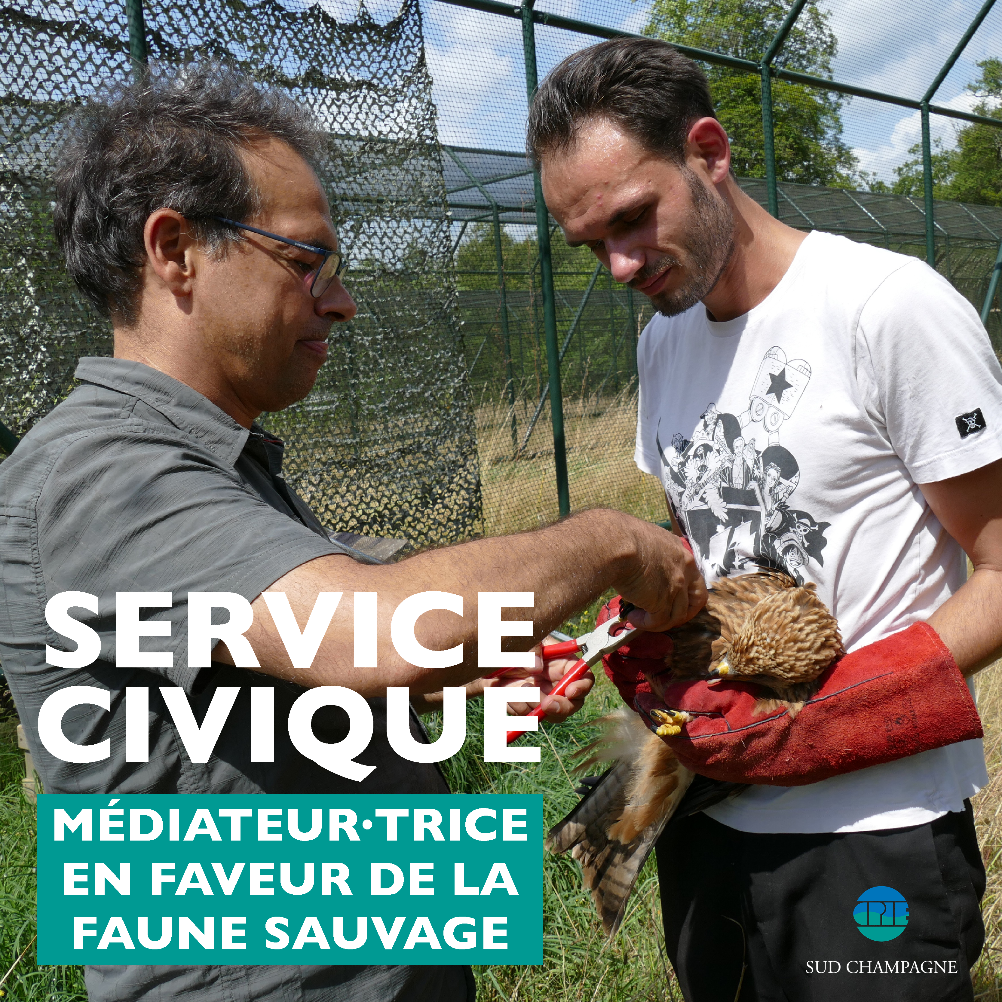 service_civique_médiateur_cds